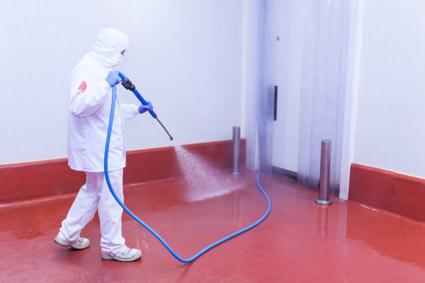 Professional  Pressure Washing Services in La Honda, CA